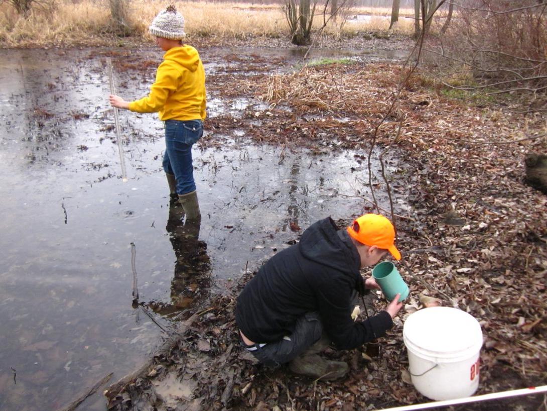 学生们在布莱克福克湿地收集水样