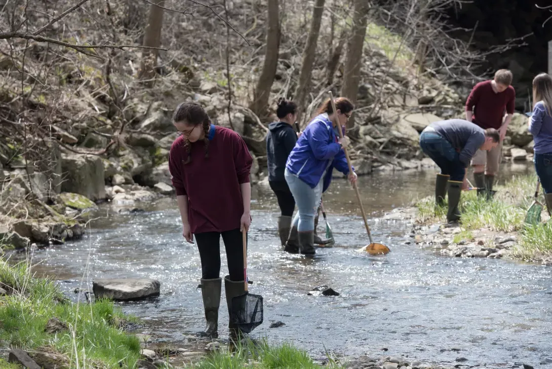 学生们在坎菲尔德自然保护区检查一条小溪